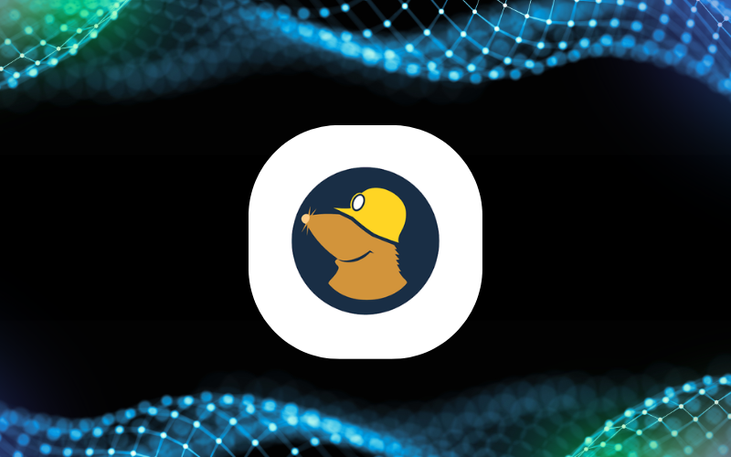 Mullvad VPN