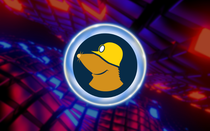 Mullvad VPN